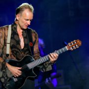 Sting - Fotocredits: Yancho Sabev - Wikimedia Commons (CC BY-SA 3.0)