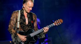 Sting - Fotocredits: Yancho Sabev - Wikimedia Commons (CC BY-SA 3.0)