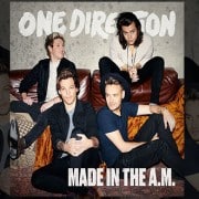 Albumcover: One Direction - Made In The A.M. (Bol.com)