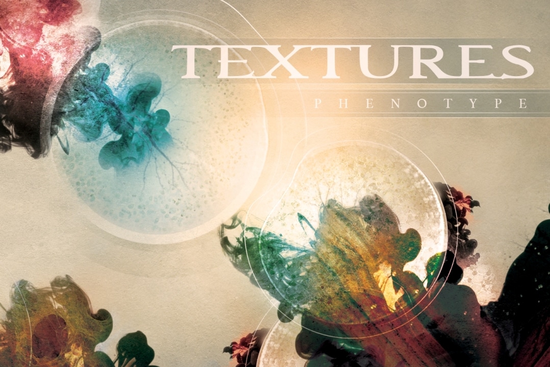 Albumcover: Textures - Phenotype