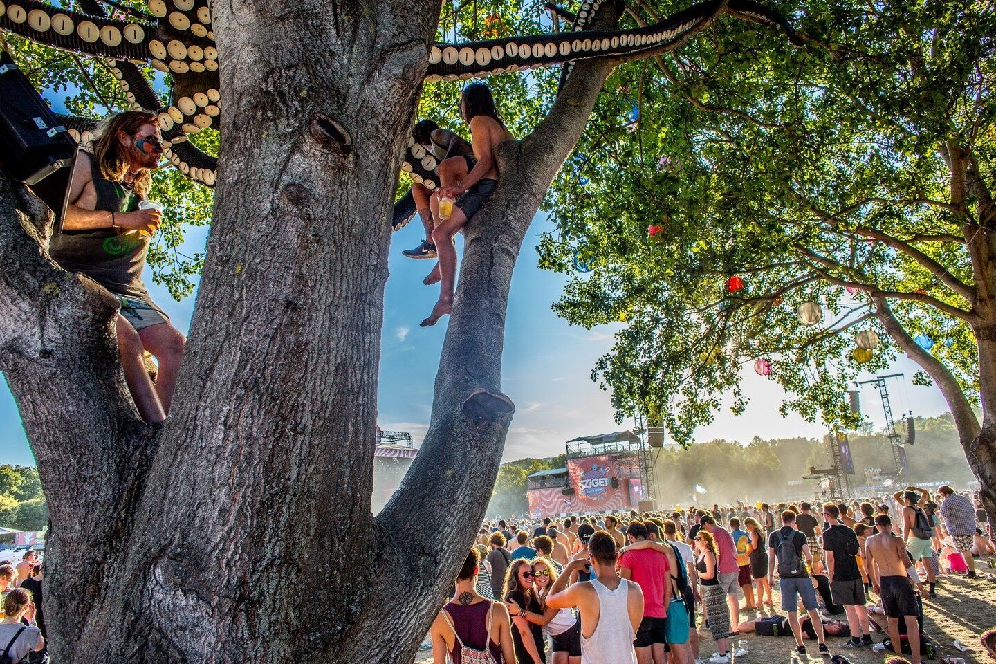 Sziget Festival - Bron: Persfoto