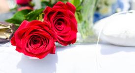 roos, rozen, liefde, Valentijnsdag - Foto: Lukas - (Bron: Pexels) Publiek Domein