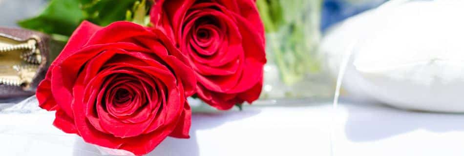 roos, rozen, liefde, Valentijnsdag - Foto: Lukas - (Bron: Pexels) Publiek Domein