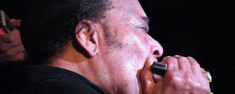 James Cotton - Foto: Piedmontstyle - (Bron: Wikimedia Commons)