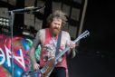 Mastodon - Fotograaf Alfred Nitsch (Wikimedia)