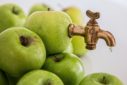 Mama Appelsap - foto: Stevepb - bron: PixaBay