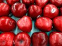 Appel - foto: Photoshot - bron: Pixabay