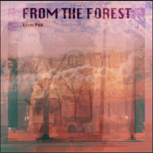 Albumcover: Liam Pek - From The Forest