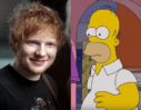 Ed Sheeran gastrol The Simpsons - Eigen creatie (foto Eva Rinaldi en YouTube)