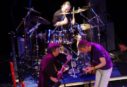 Camel in concert - Bron: Wikimedia Commons CC BY 2.0 - Fotocredits: http://www.progressive-newsletter.de