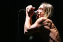 Lavinia Meijer Iggy Pop - Foto: Alex Const (Wikimedia Commons, CC BY 2.0)