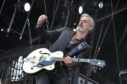 Triggerfinger Zwarte Cross - Fotocredits: Jan Brauer (Wikimedia CC BY-SA 3.0)