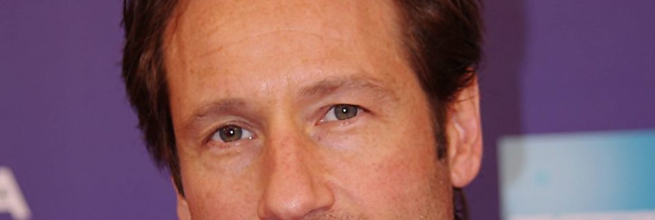 David Duchovny - Bron: Wikimedia Commons - Fotocredits: David Shankbone - (CC BY 3.0)