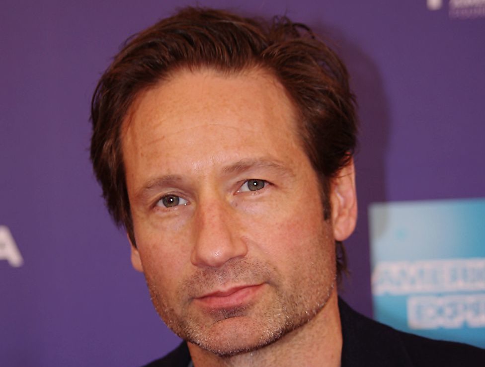 David Duchovny - Bron: Wikimedia Commons - Fotocredits: David Shankbone - (CC BY 3.0)