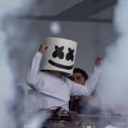 Marshmello - Foto: Stefan Brending (Wikimedia, CC BY-SA 3.0)