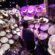 Terry Bozzio - Foto ? ????? ? (Wikimedia, CC BY 2.0)