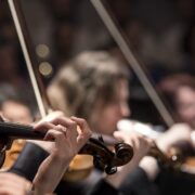 Blue Planet II Live in Concert, The Legend of Morricone, Metropole Orkest, Star Wars Live In Concert, Joker Live In Concert, avond van de filmmuziek, klassiek, orkest, viool - Credits: Pixabay (publiek domein)