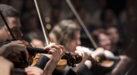 Blue Planet II Live in Concert, The Legend of Morricone, Metropole Orkest, Star Wars Live In Concert, Joker Live In Concert, avond van de filmmuziek, klassiek, orkest, viool - Credits: Pixabay (publiek domein)