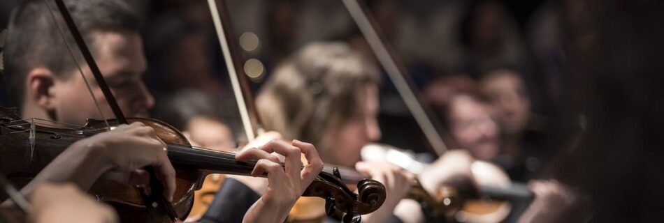 Blue Planet II Live in Concert, The Legend of Morricone, Metropole Orkest, Star Wars Live In Concert, Joker Live In Concert, avond van de filmmuziek, klassiek, orkest, viool - Credits: Pixabay (publiek domein)