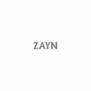 Icarus Falls, Zayn - Fotobron: bol.com