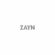 Icarus Falls, Zayn - Fotobron: bol.com