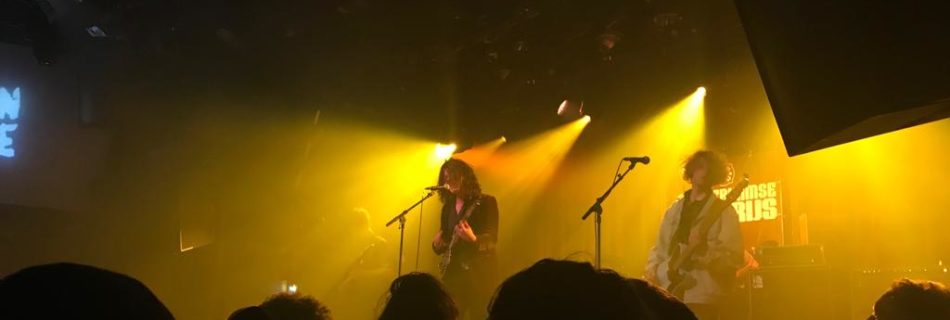 Amsterdamse popprijs - Artiestennieuws