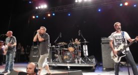 Descendents - Fotocredits: IllaZilla - Wikimedia Commons (CC BY-SA 4.0)