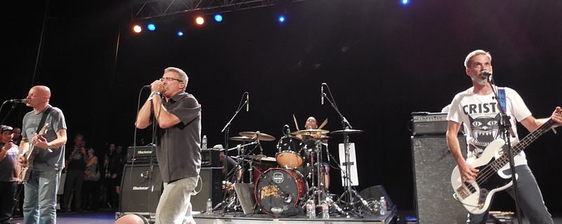 Descendents - Fotocredits: IllaZilla - Wikimedia Commons (CC BY-SA 4.0)