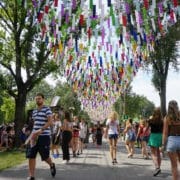 Sziget 2019 - Foto: Danique Logtenberg (Artiesten Nieuws)