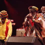 The Abyssinians - Foto: Rama via Wikimedia Commons (CC BY-SA 2.0 FR)