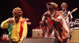 The Abyssinians - Foto: Rama via Wikimedia Commons (CC BY-SA 2.0 FR)