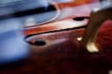 Metropole Orkest Cello - Foto: Gleb Sarkisov via Flickr (CC BY-NC-ND 2.0)