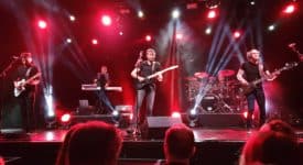 Pineapple Thief - Fotocredtis: Steffen 962 - Wikimedia Commons (CC-BY-4.0)