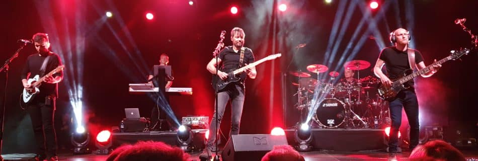 Pineapple Thief - Fotocredtis: Steffen 962 - Wikimedia Commons (CC-BY-4.0)