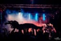 MadNes Festival - Foto: Tjeerd Derkink